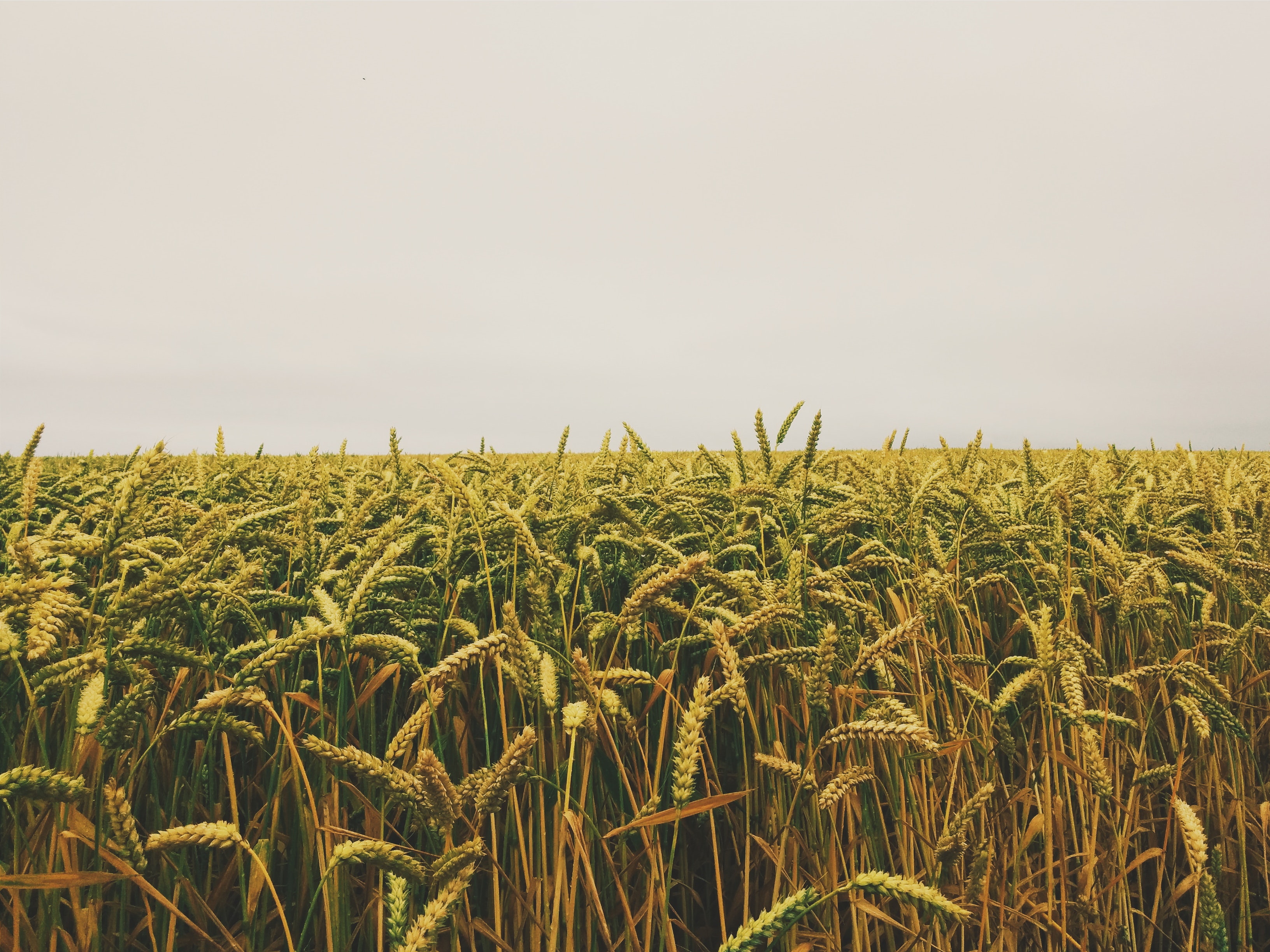 agri